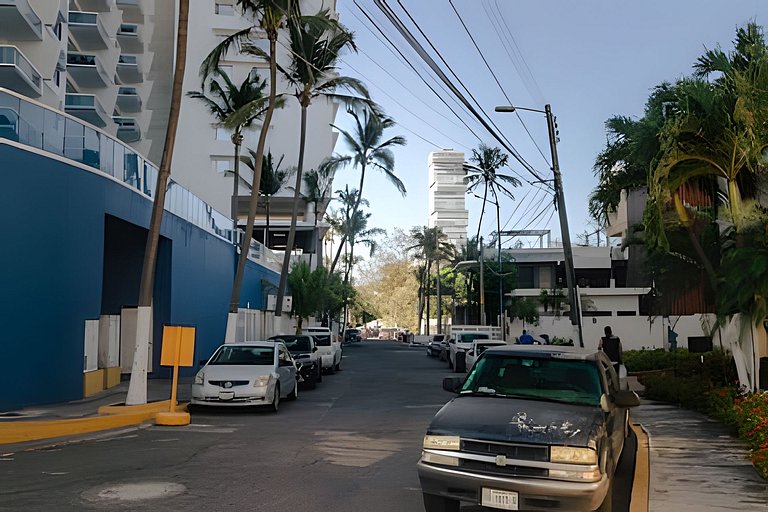 Palmas, Sol y Tranquilidad.
