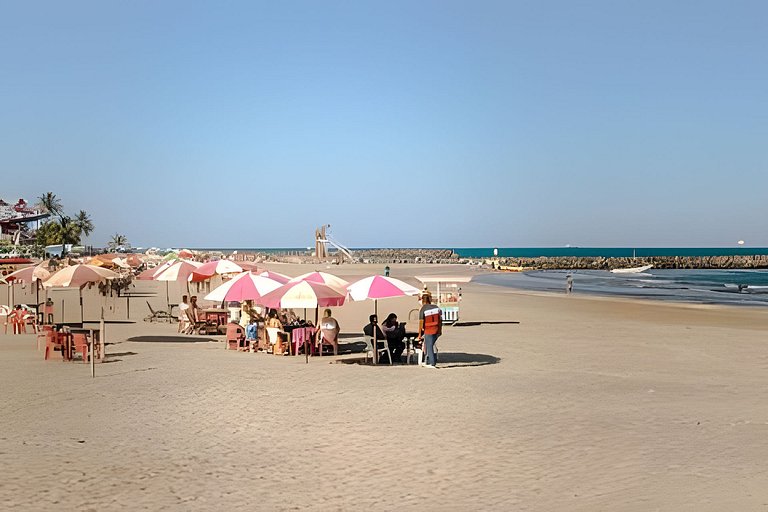 Palmas, Sol y Tranquilidad.