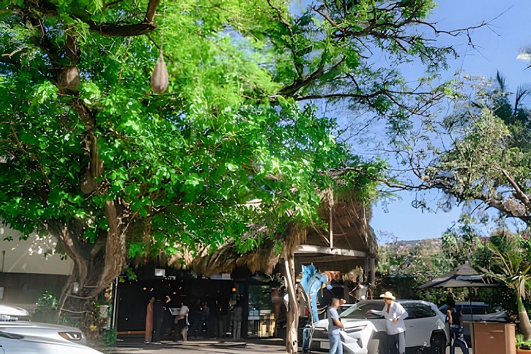 Vamos a la Playa¡¡¡¡